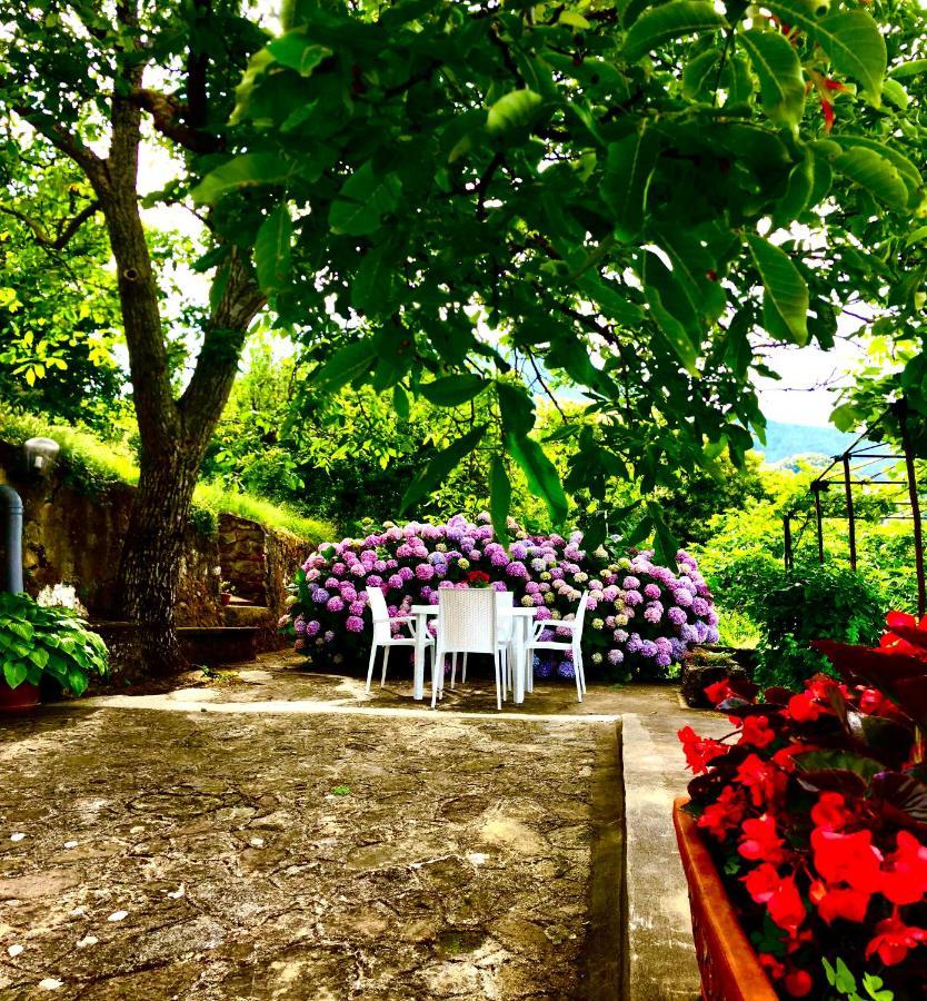 Il Ciliegio Stella Cilento Exterior foto